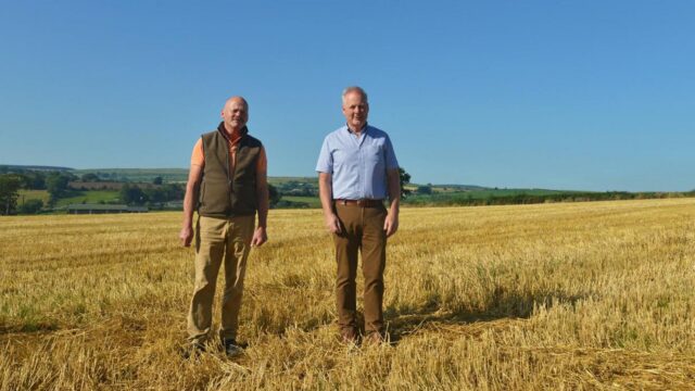 Redmonds Farm