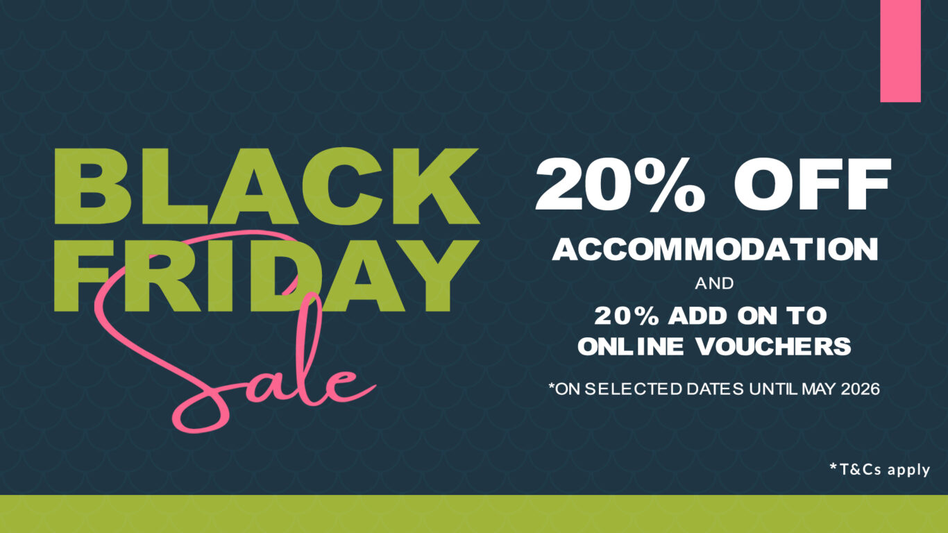 RPH_Black_friday_25_TV