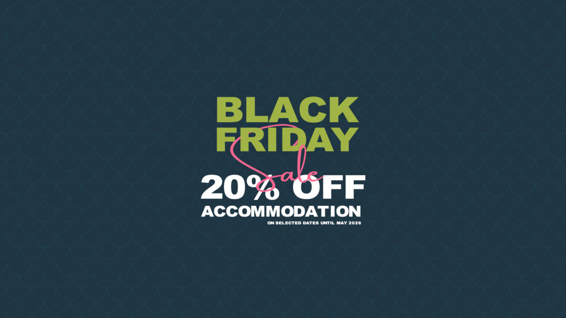 RPH_Black_friday_Web