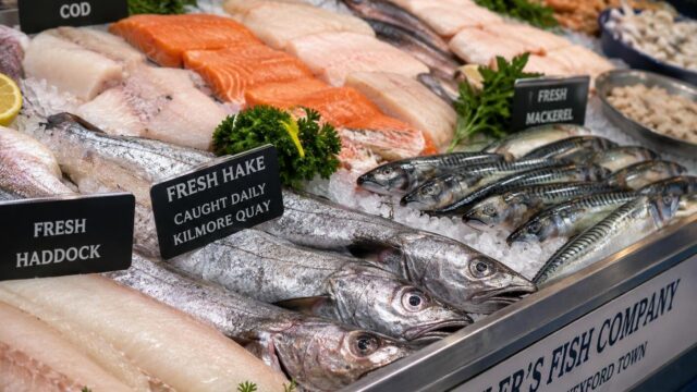 Meylers fish